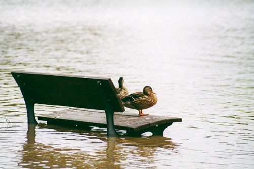 flood 2002 - prague